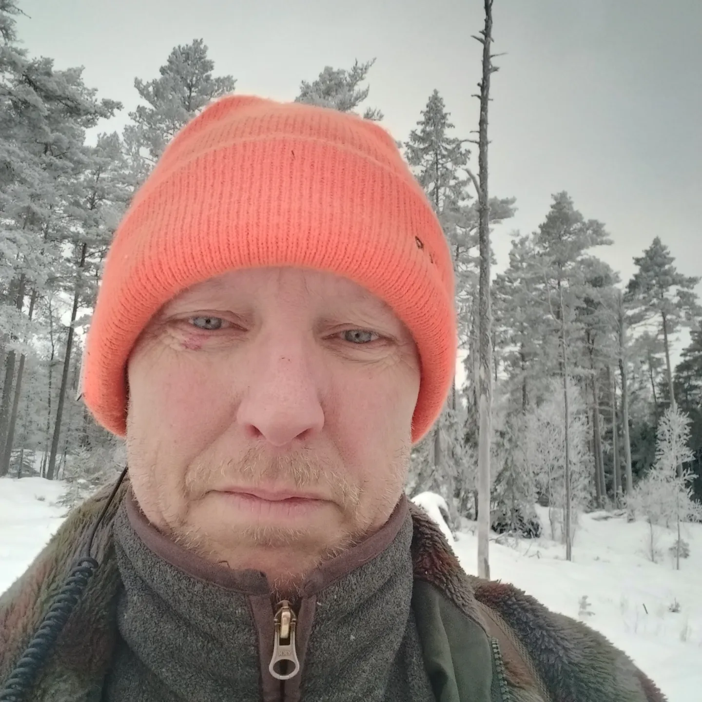 Omslagsbild
