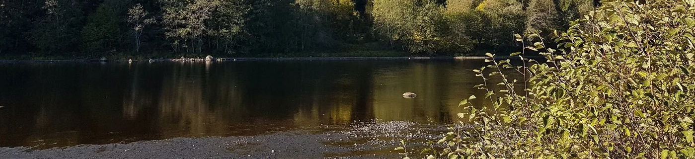Omslagsbild