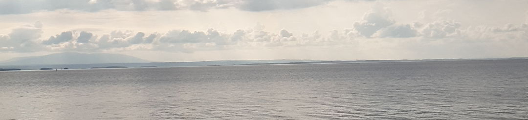 Omslagsbild