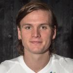 K. Finnbogason