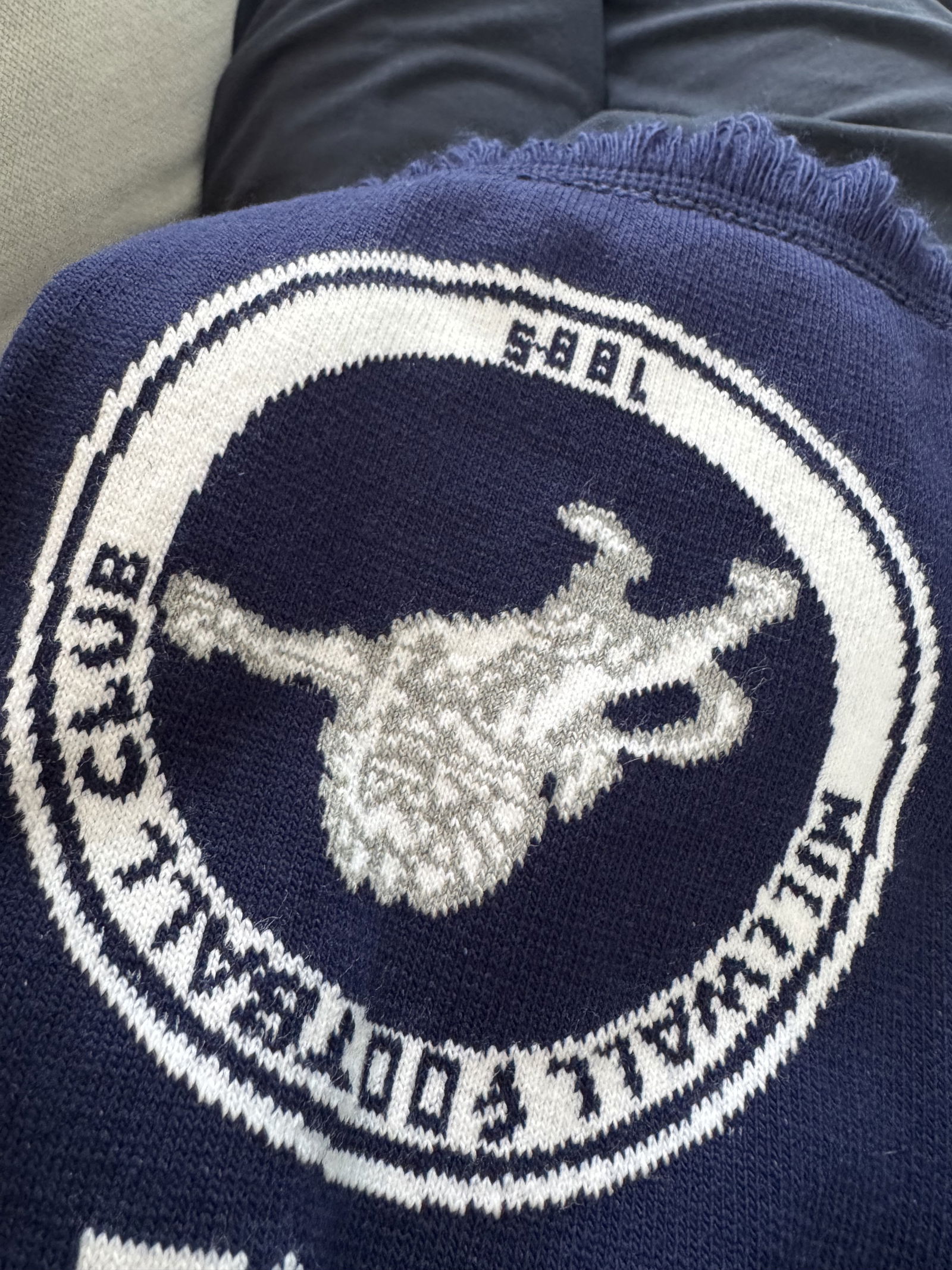 Go Millwall!!