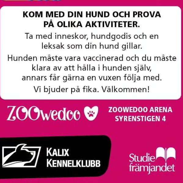 Händelsebild