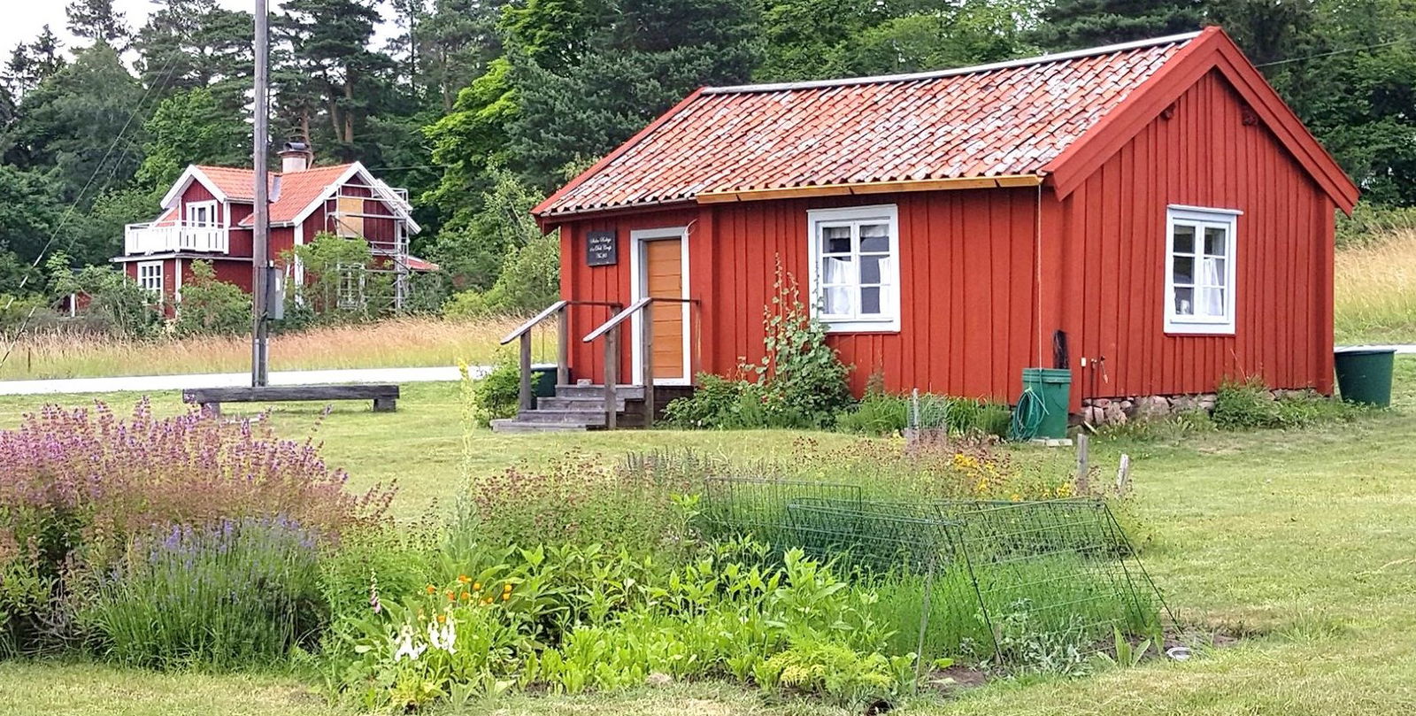 cover photo