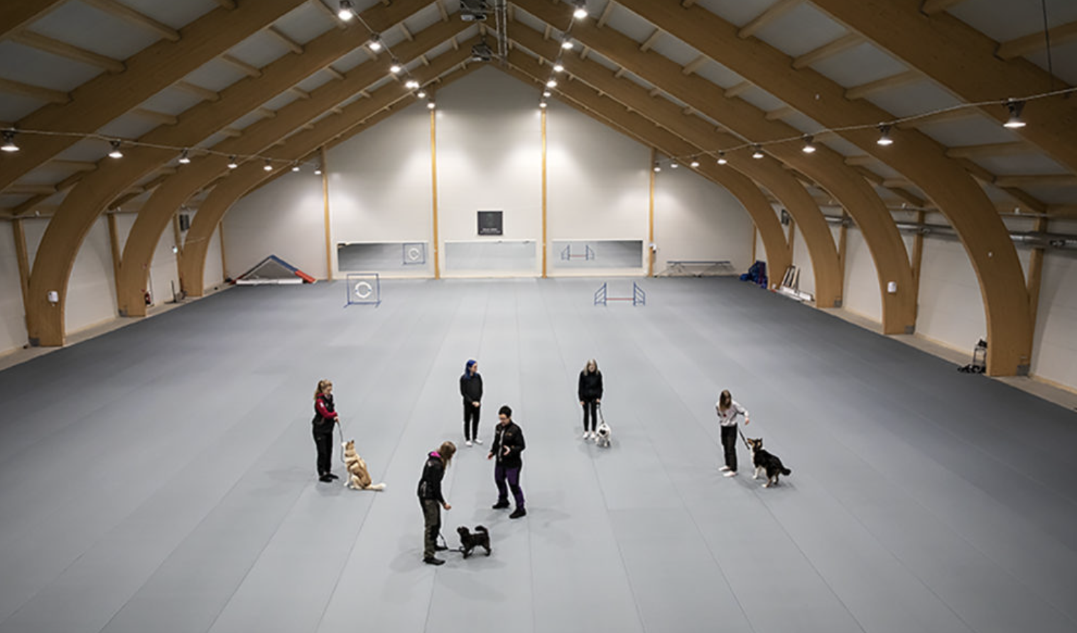 Hundhallen