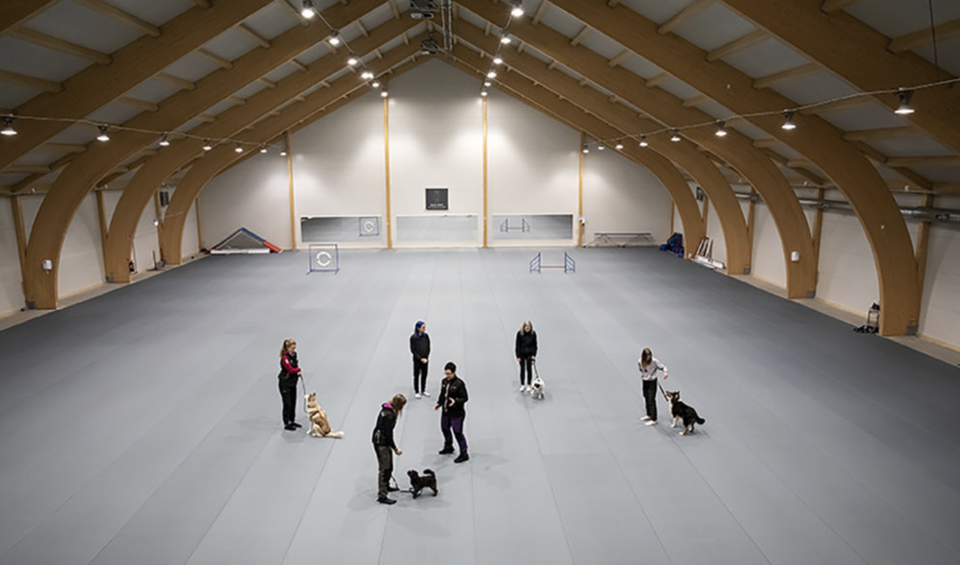 Hundhallen