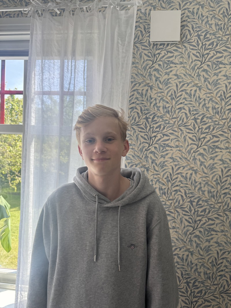 Inläggsbild