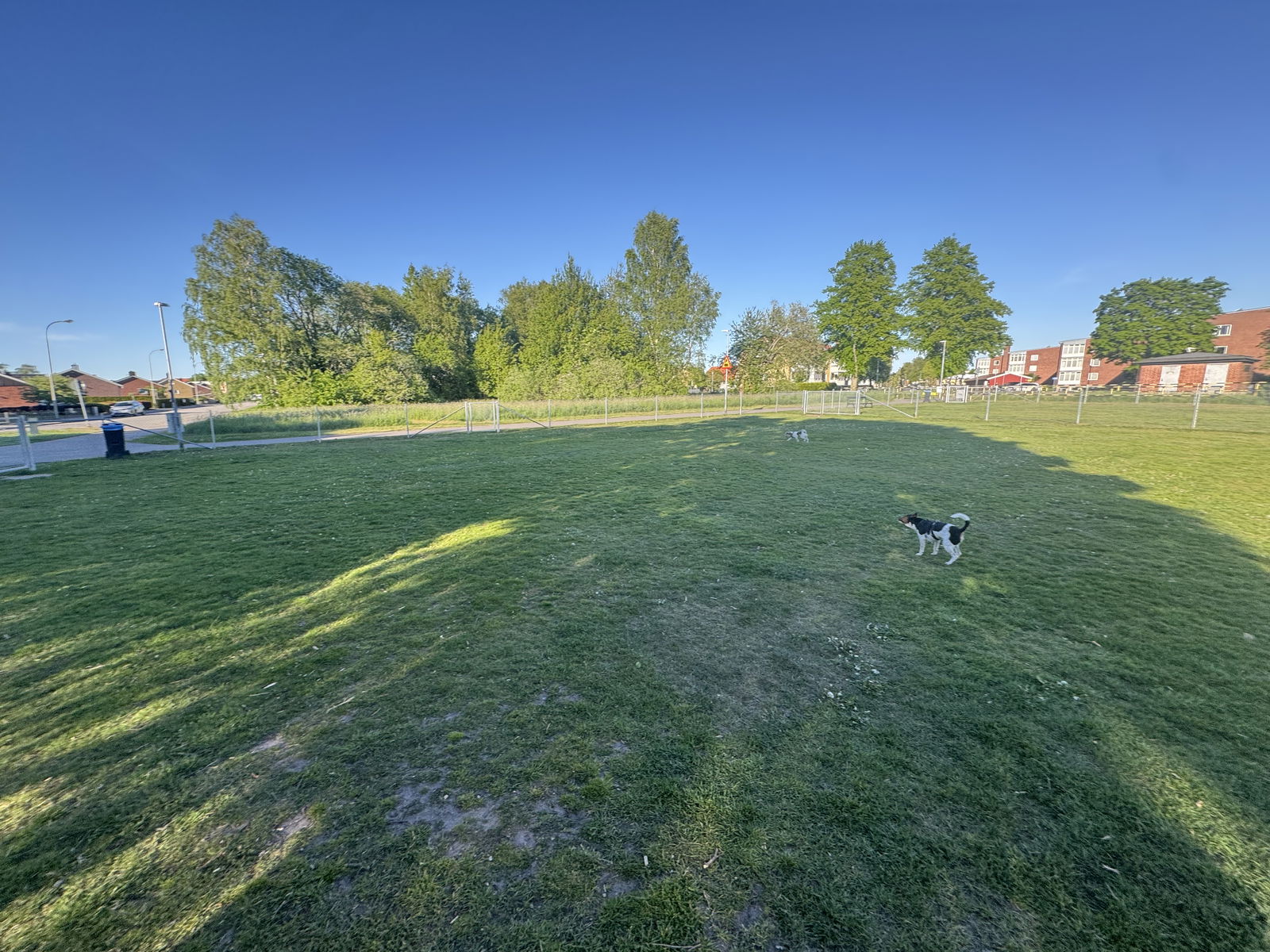 Lilleskogs Hundrastgård