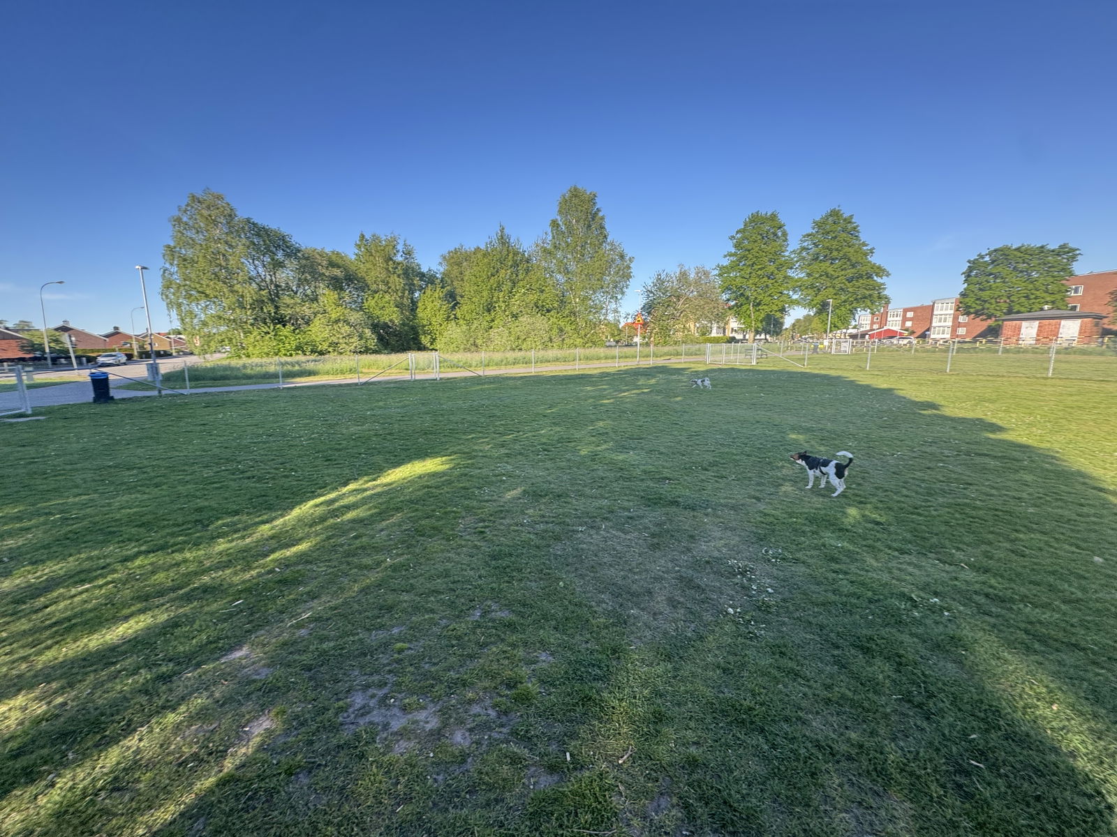 Lilleskogs Hundrastgård