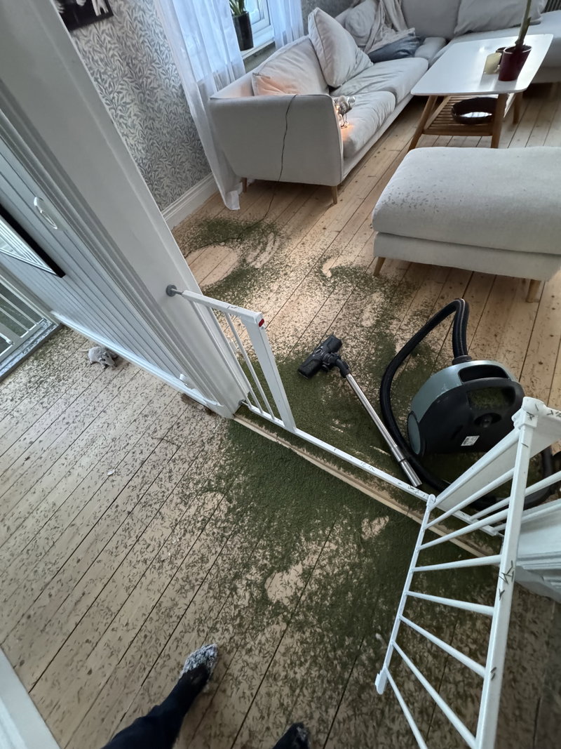 Inläggsbild