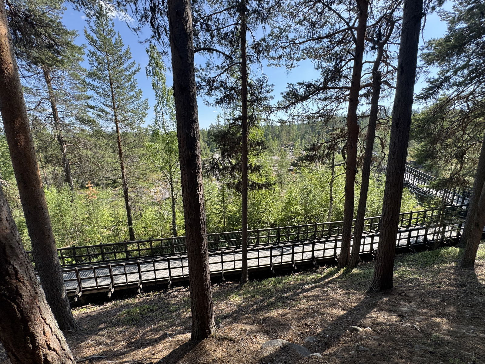 Wild Scandinavian Cooking