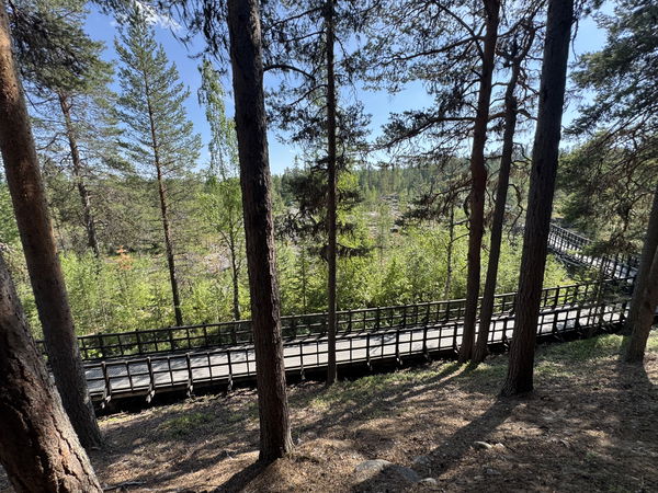 Wild Scandinavian Cooking