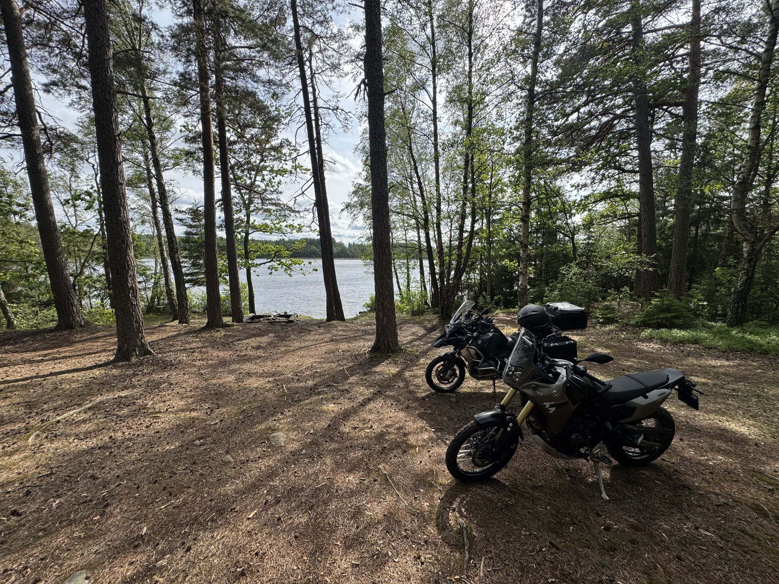 Stora bjursjöns badplats
