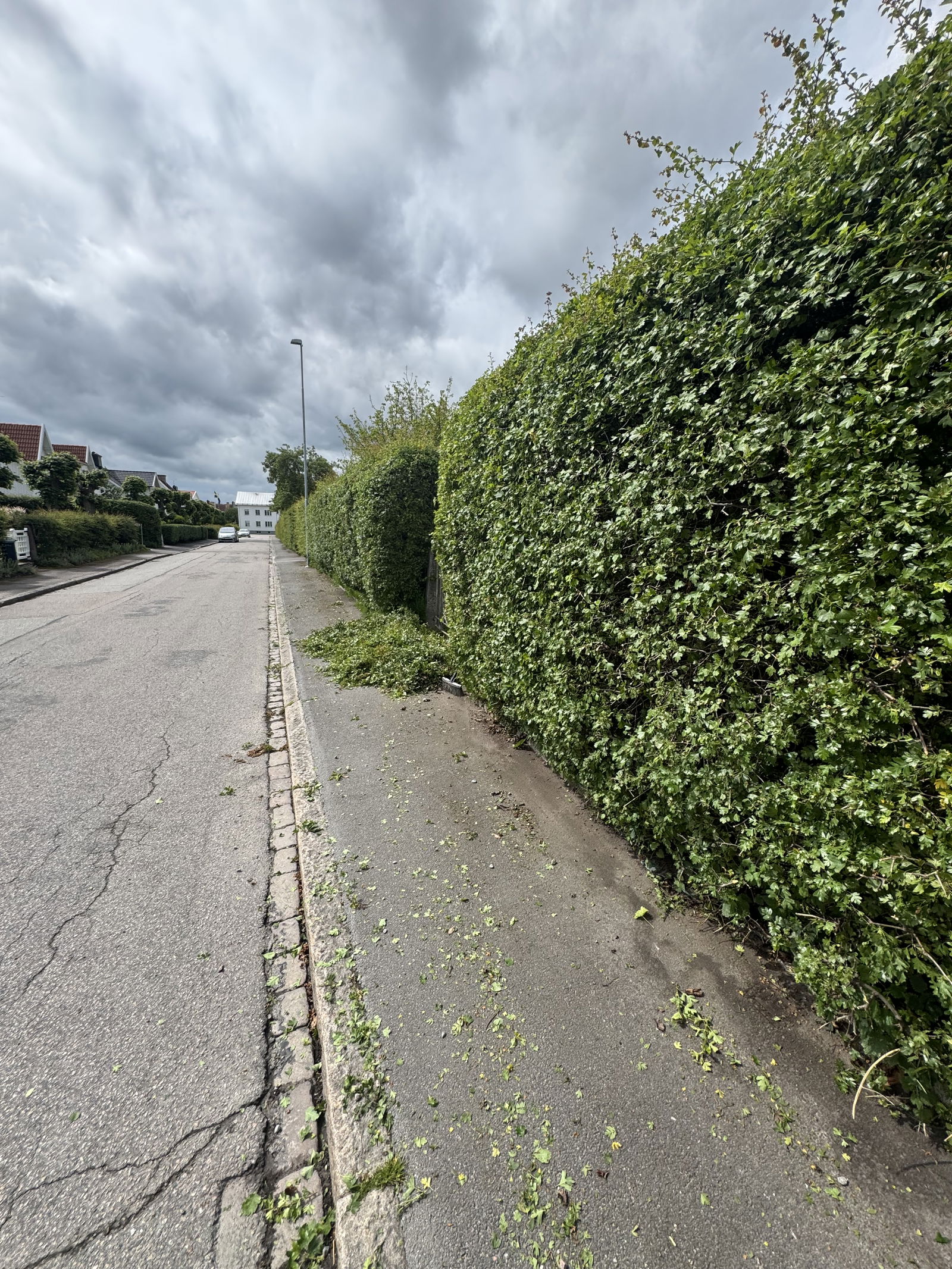 puh fyan va drygt