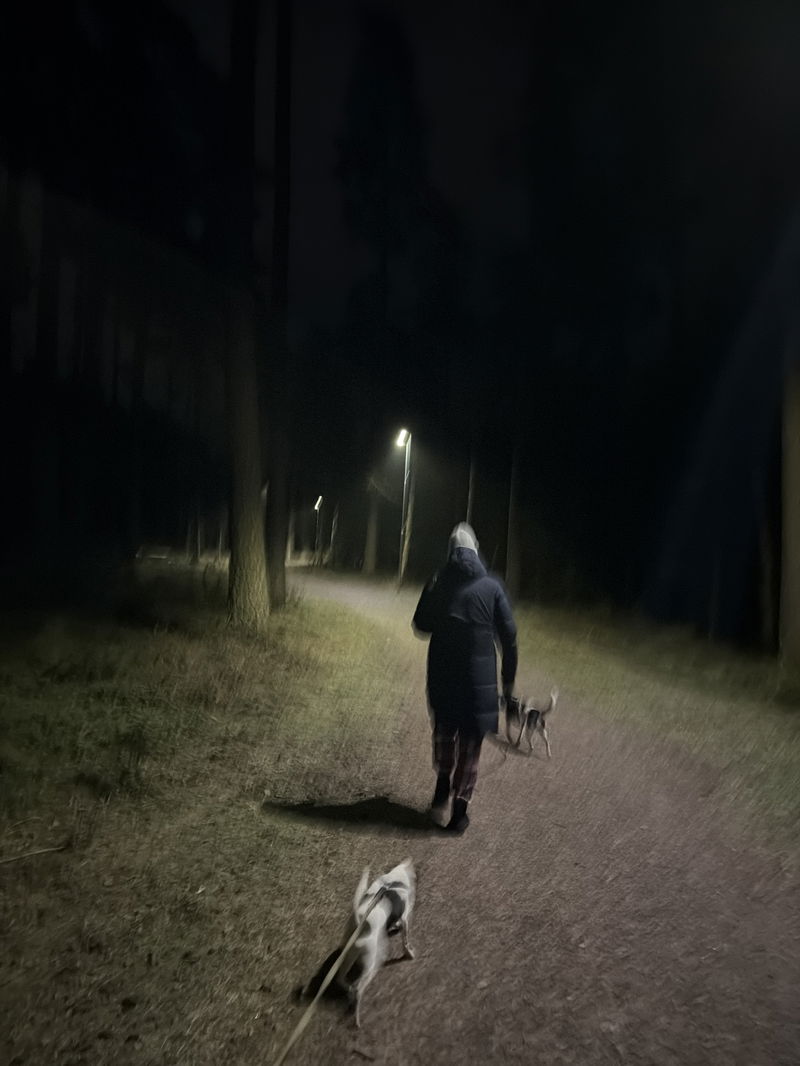 Inläggsbild