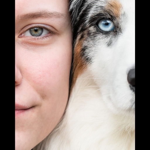 Charlotta Jönsson profil