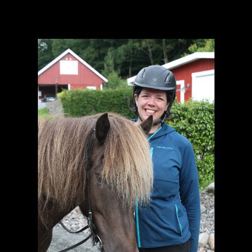 Stenlid Häst & Hälsa    