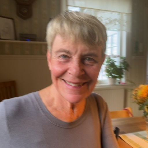 Inger Jansson profil