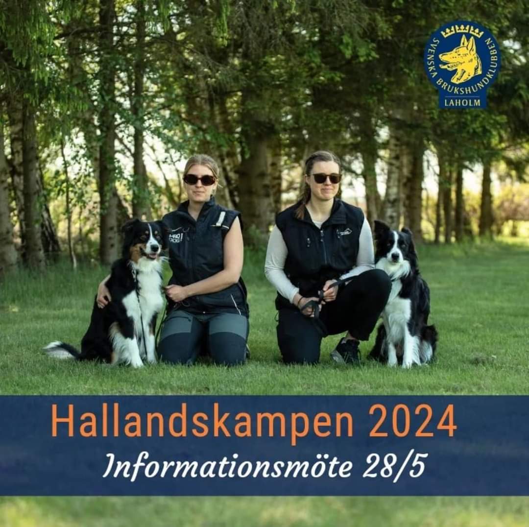 Händelsebild