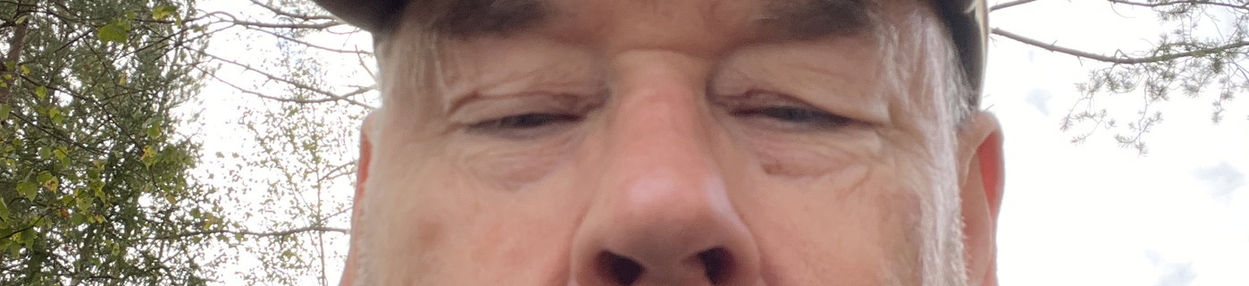 Omslagsbild