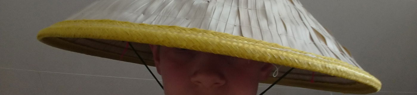 Omslagsbild