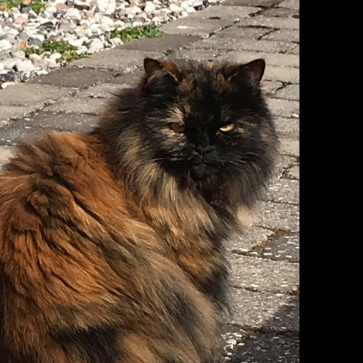 Ann-Britt Mårtensson