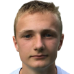 M. Mehl