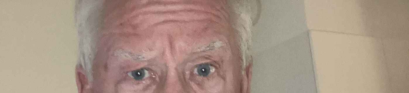 Omslagsbild