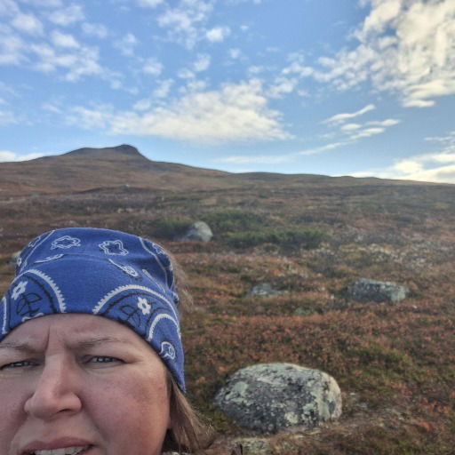 Anna  Säthergren profil