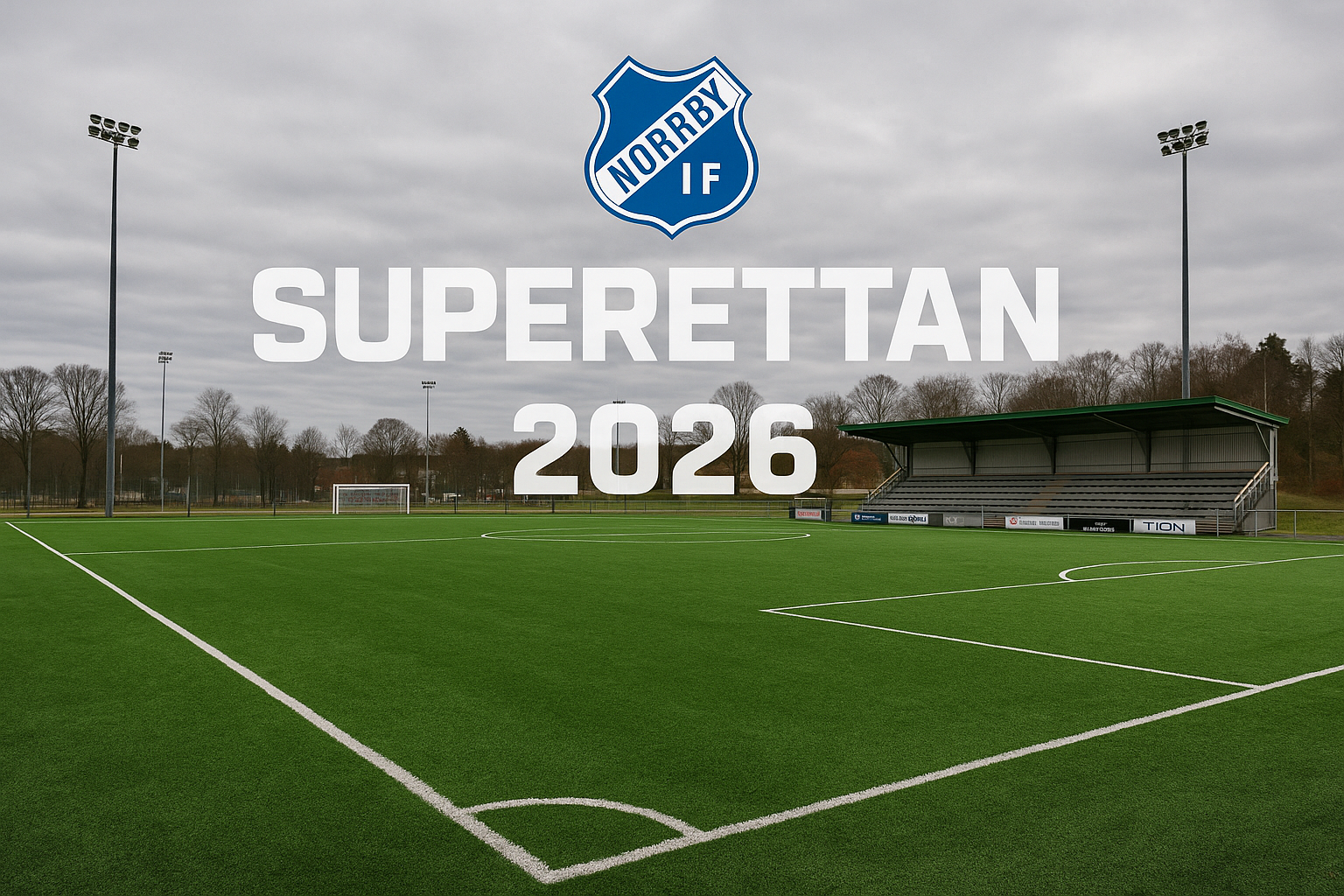 Ramnavallen konstgräs