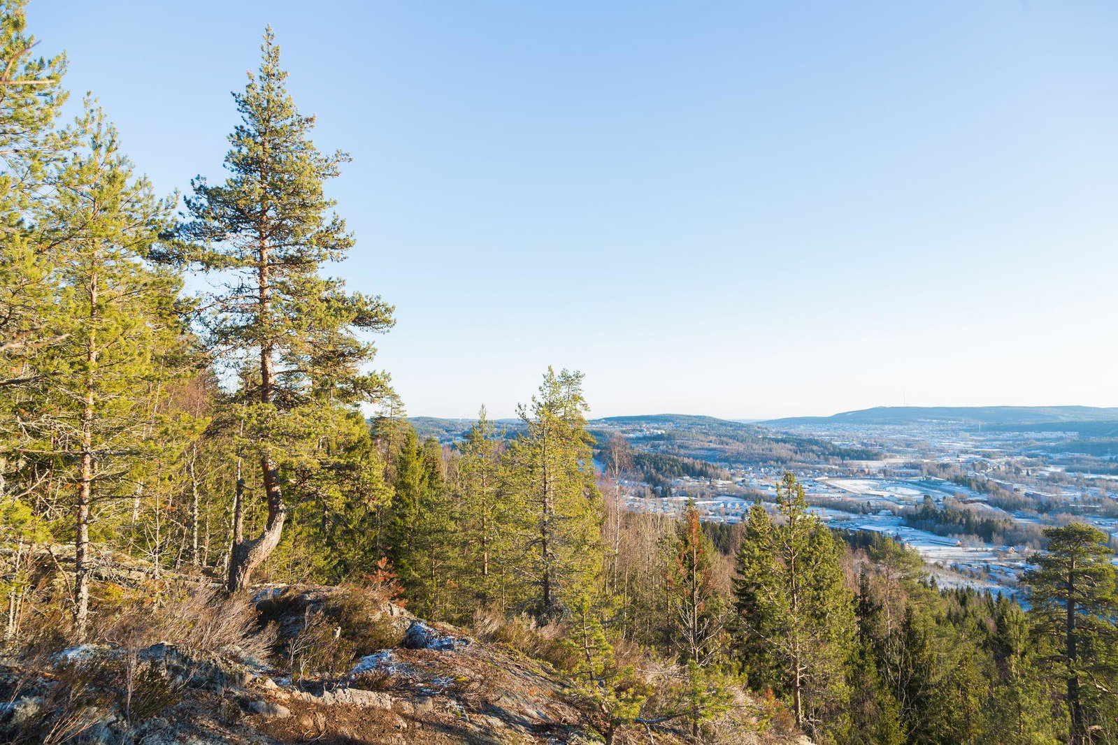 Logloppis i Skedlo