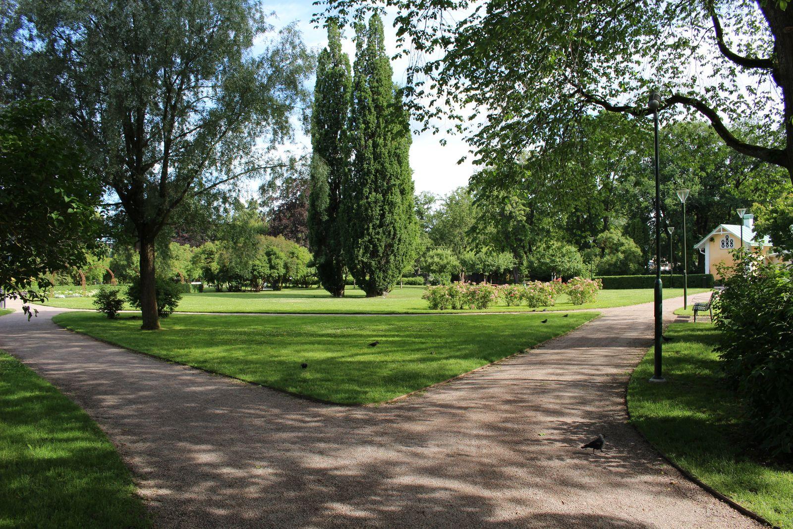 Medina på Parksnäckan