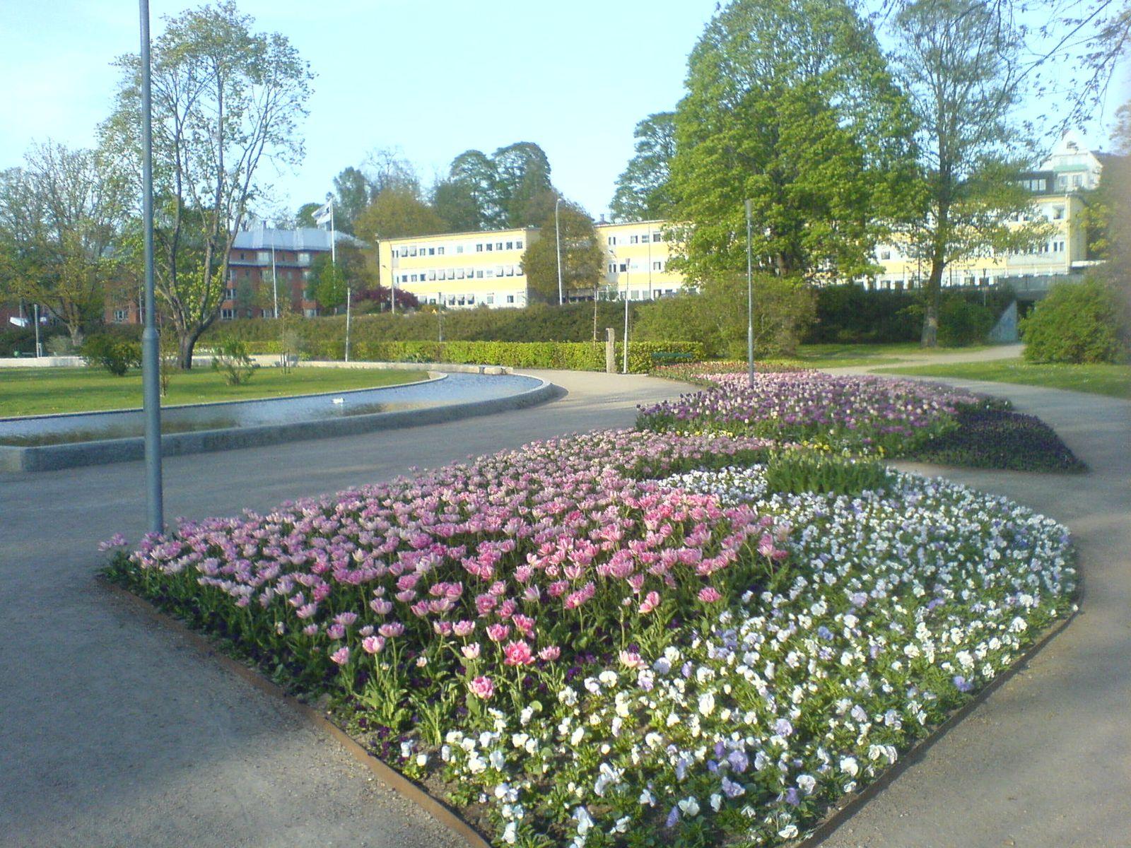 Scensommar: Tarabband