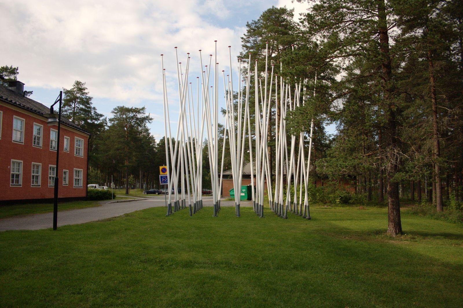 Guidad visning Umedalens skulpturpark