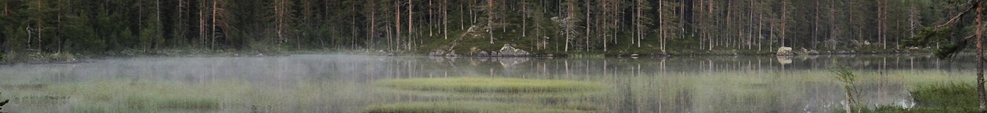 Omslagsbild