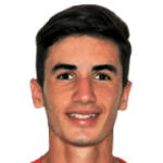 F. Doğan