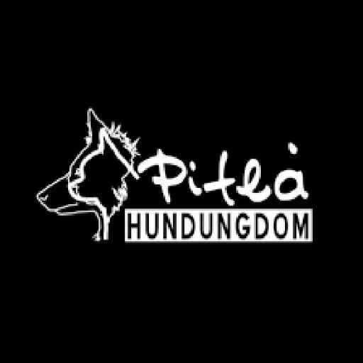 Piteå Hundungdom 