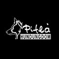 Piteå Hundungdom