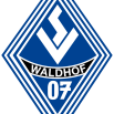 Waldhof Mannheim U19