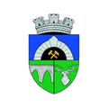 Anenii Noi