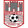 Dergview