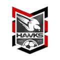Holland Park Hawks
