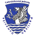 Partizán Domaniža