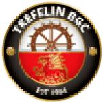 Trefelin
