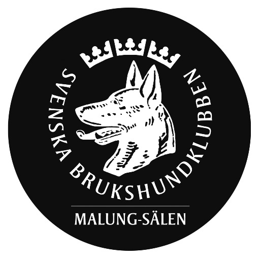 Malung-Sälens BK