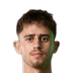 Tomer Lannes Arbel