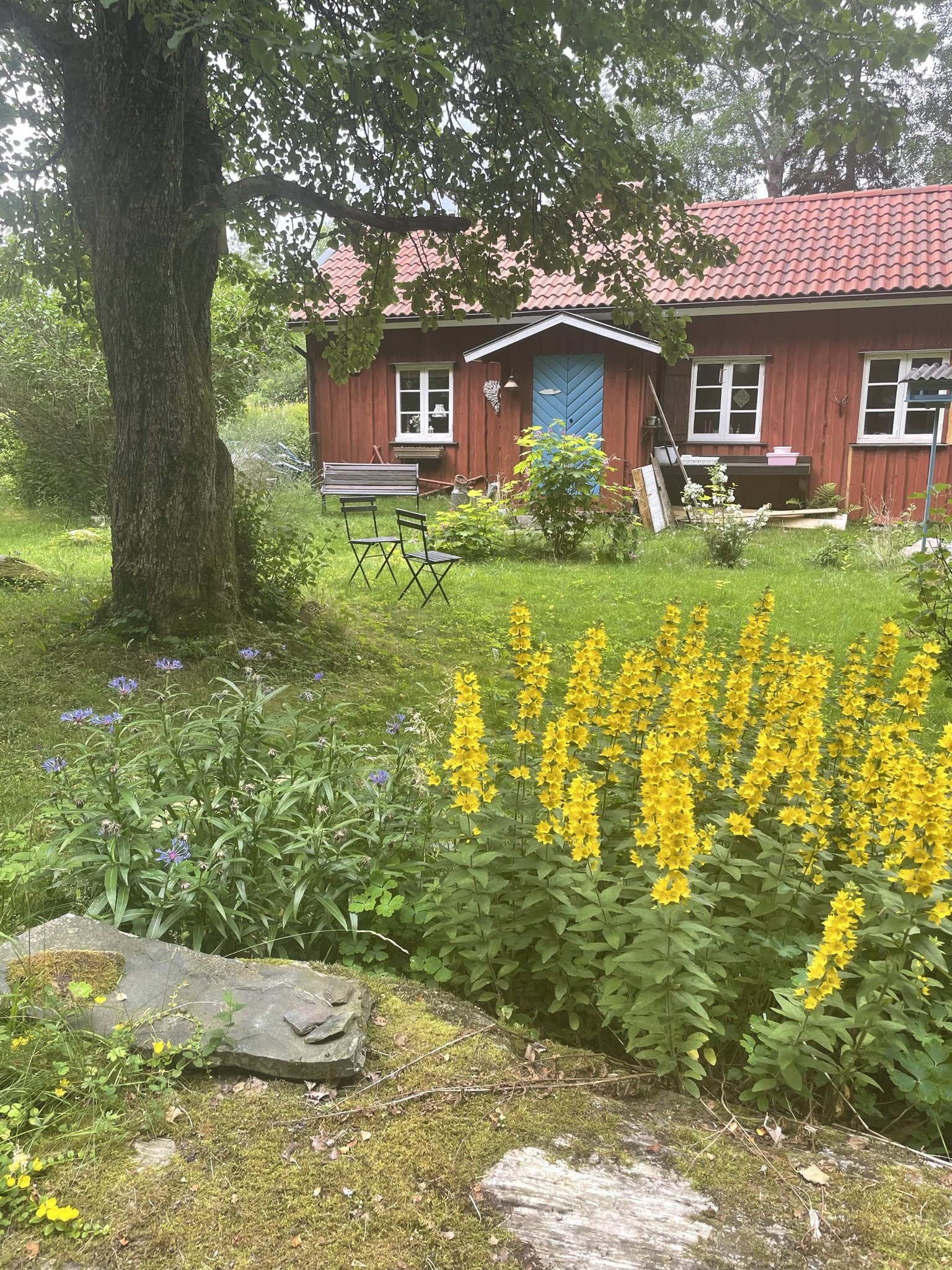 Kulten-torpet