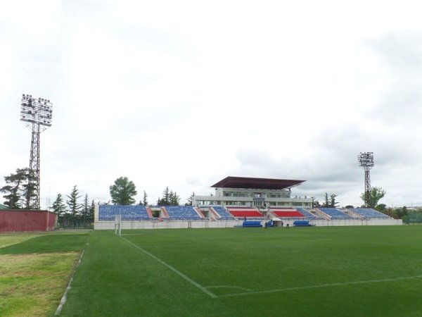 Bild av Stadioni Tengiz Burjanadze
