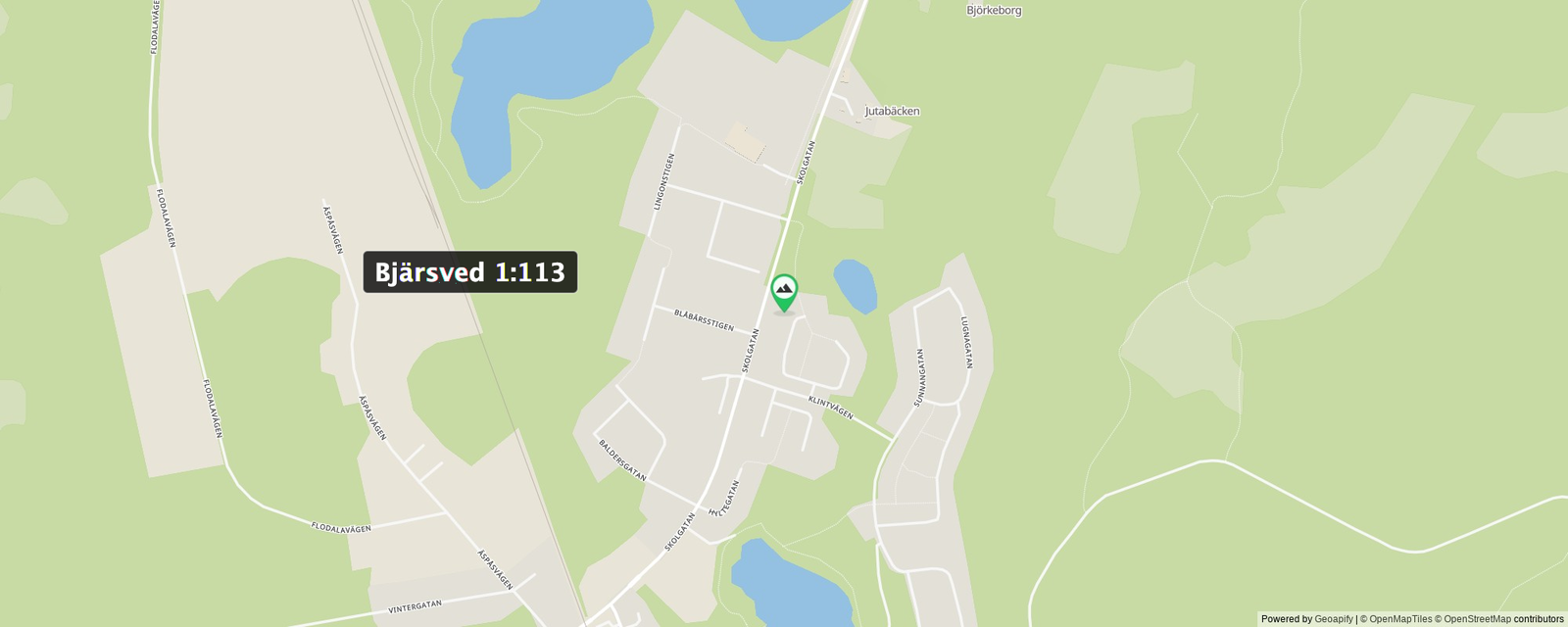 Bjärsved 1:113