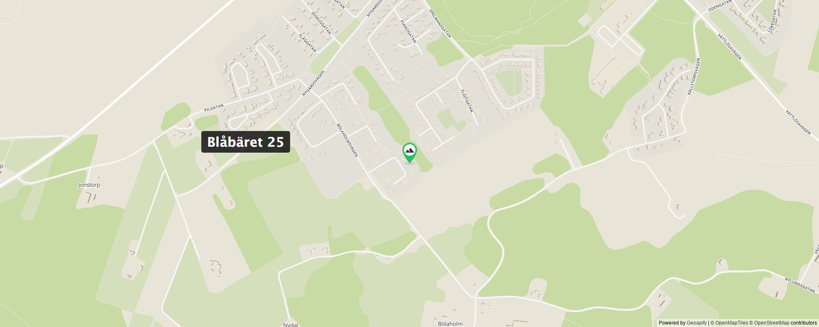 Blåbäret 25